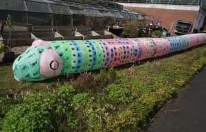 WORM WALK